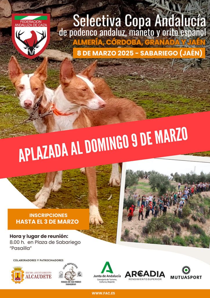 Aplazada la primera selectiva de la Copa Andalucía de Podencos para el domingo 9 de marzo