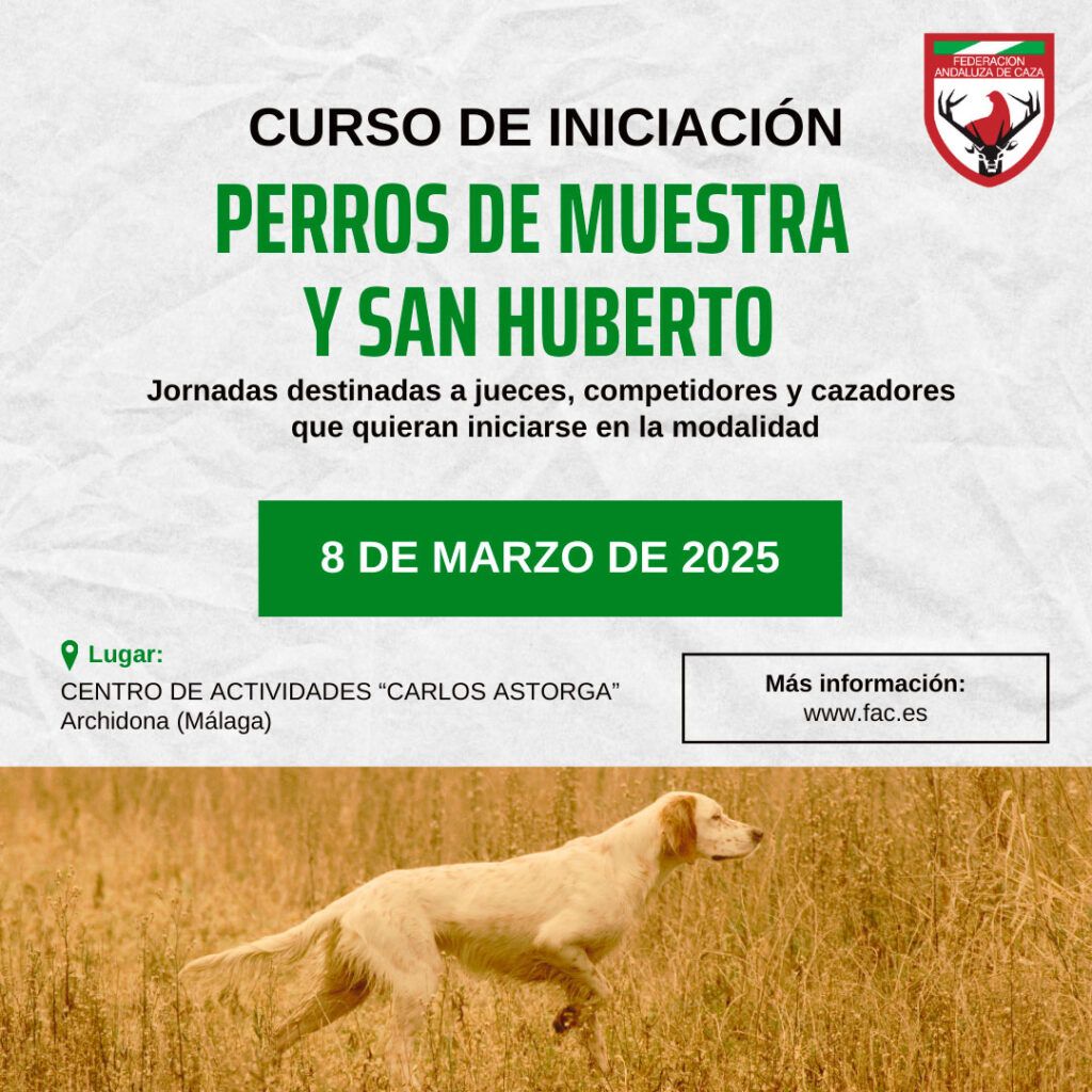 La FAC organiza un curso de iniciación sobre perros de Muestra y San Huberto