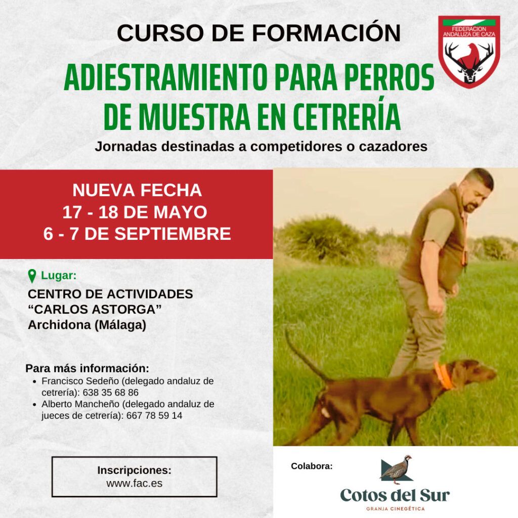 El curso de adiestramiento para perros de muestra en cetrería será finalmente el 17 y 18 de mayo