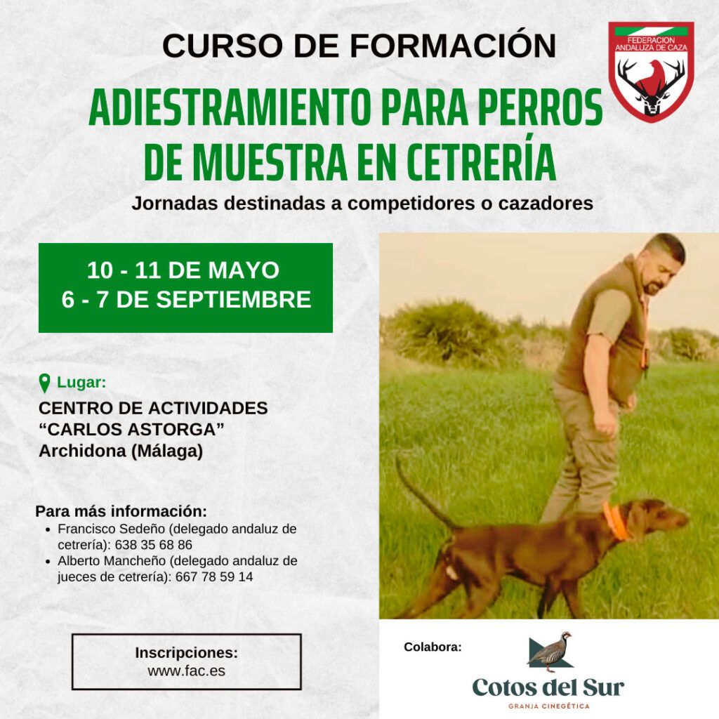 La FAC organiza un curso de adiestramiento para perros de muestra en cetrería