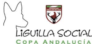 logotipo-liguilla-social-WEB