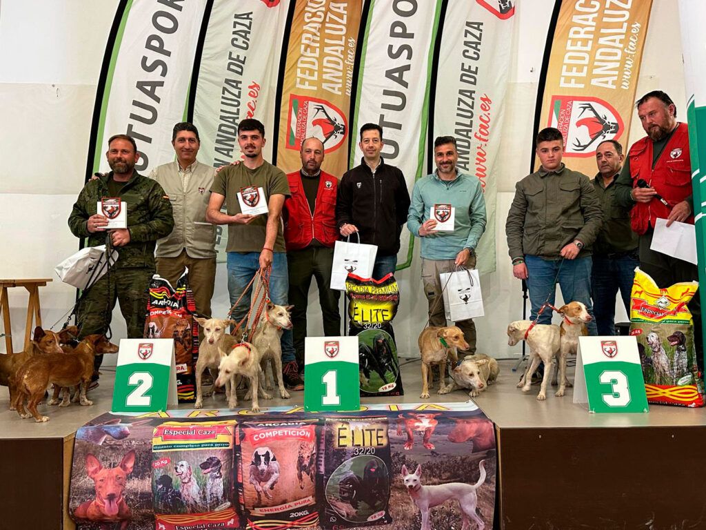 El primer Campeonato Andaluz de Trabajo en Recovas para Podenco Andaluz, Maneto y Orito Español se estrena con éxito en Baeza