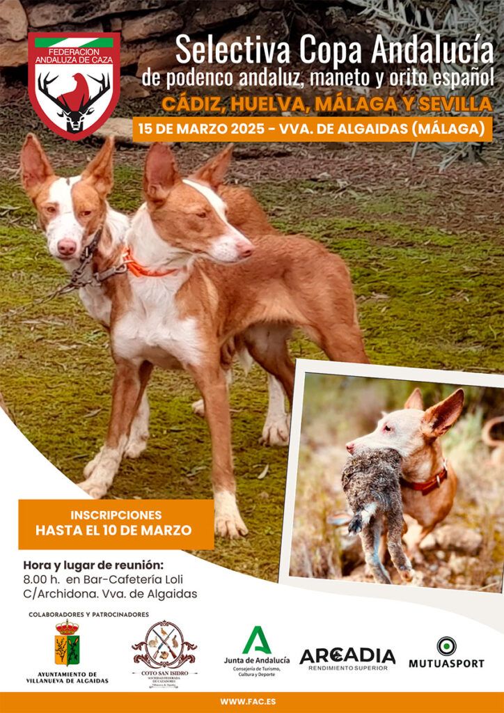La segunda selectiva de la Copa Andalucía de Podencos llega este sábado a Villanueva de Algaidas