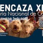 Prueba evento 3