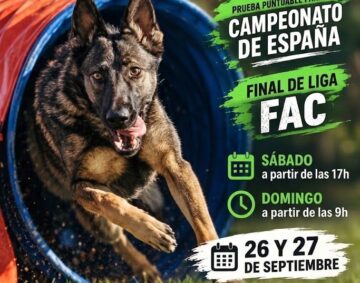 agility final