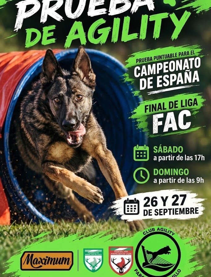 agility final