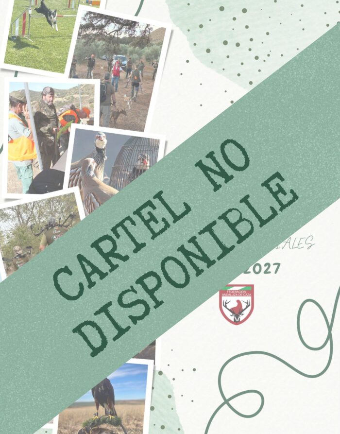cartel no disponible 2026