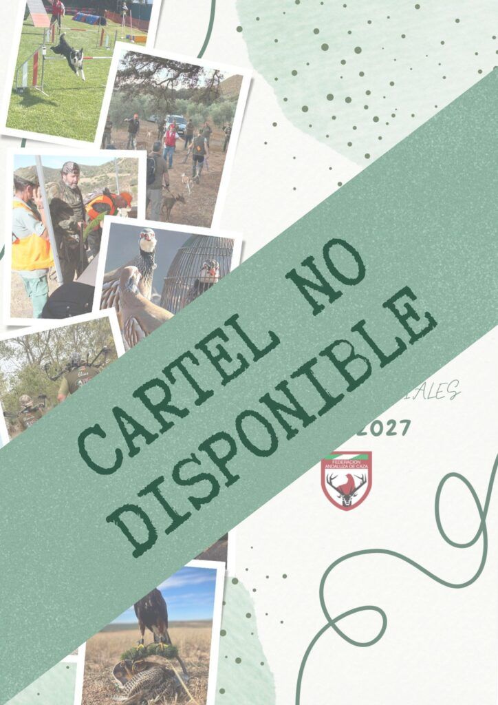 cartel no disponible 2026