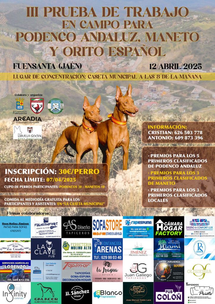 Fuensanta disputa este sábado la III Prueba de Trabajo en Campo para Podenco Andaluz y Maneto