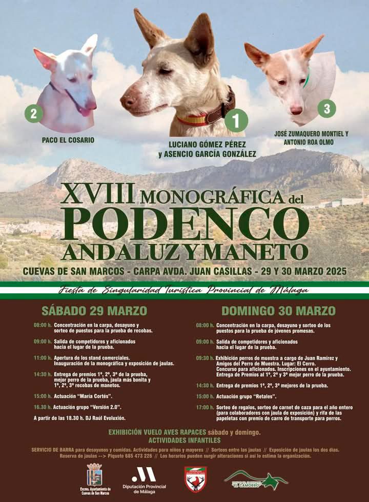 Cuevas de San Marcos celebra este fin de semana la XVIII Monográfica del Podenco Andaluz y Maneto