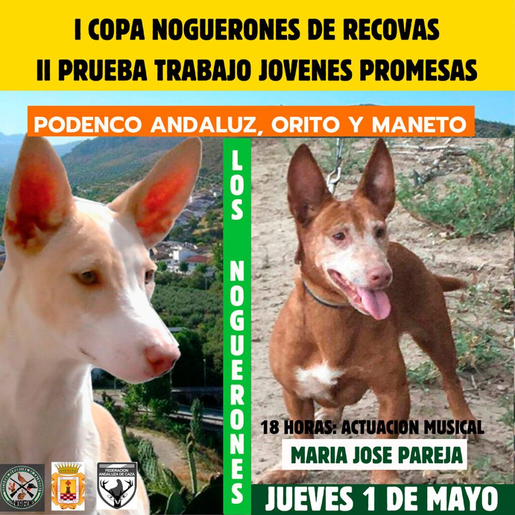 Los Noguerones celebra mañana dos pruebas de trabajo para Podencos
