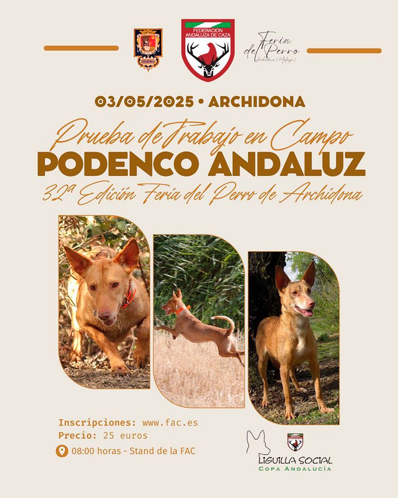 Archidona acogerá una prueba de trabajo en campo para Podenco Andaluz dentro de la Feria del Perro