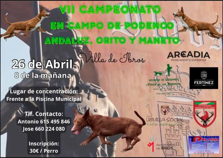 Abierta la inscripción en las pruebas de trabajo para Podenco y Maneto de Ibros y Pegalajar