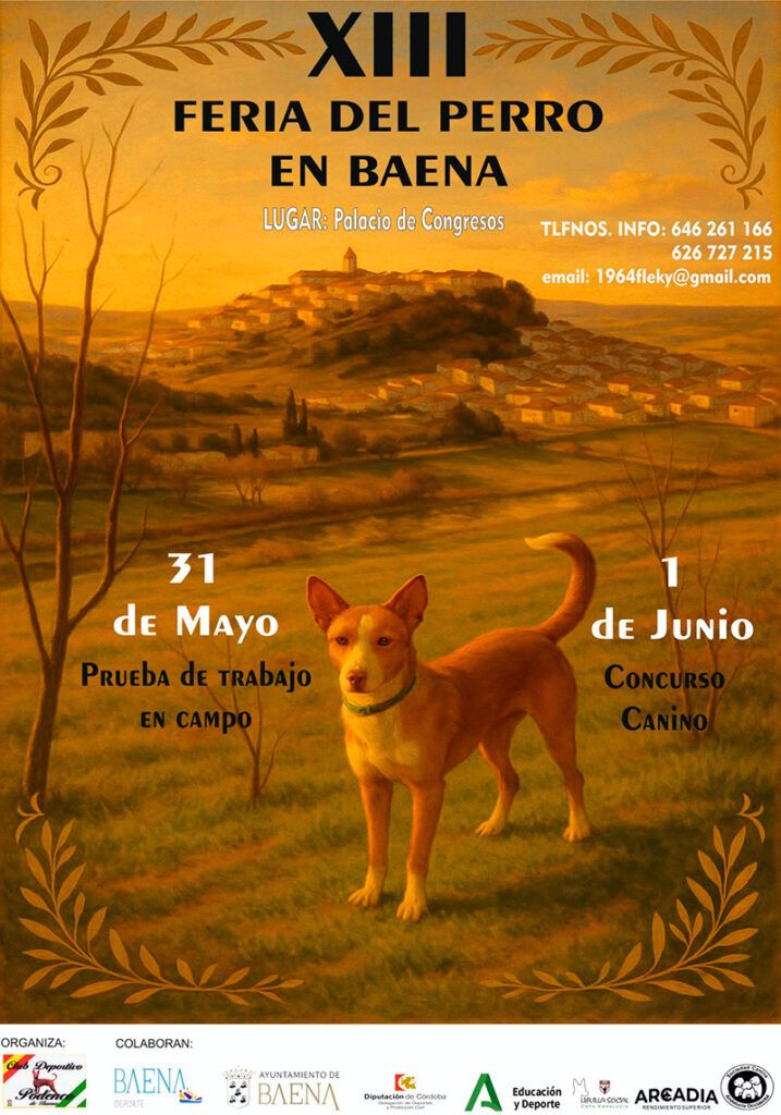 La inscripción para la prueba de trabajo de podencos de Baena se cerrará este miércoles