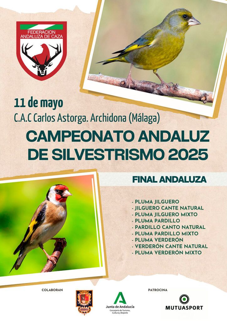El domingo se deciden los campeones andaluces de Silvestrismo 2025