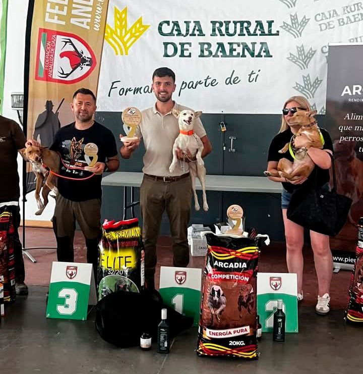 Las pruebas de podencos llegaron este fin de semana en Baena y Cuevas del Becerro a su penúltima parada