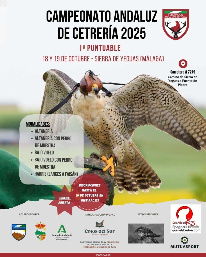 El Campeonato de Andalucía de Cetrería 2025 despega este fin de semana en Sierra de Yeguas
