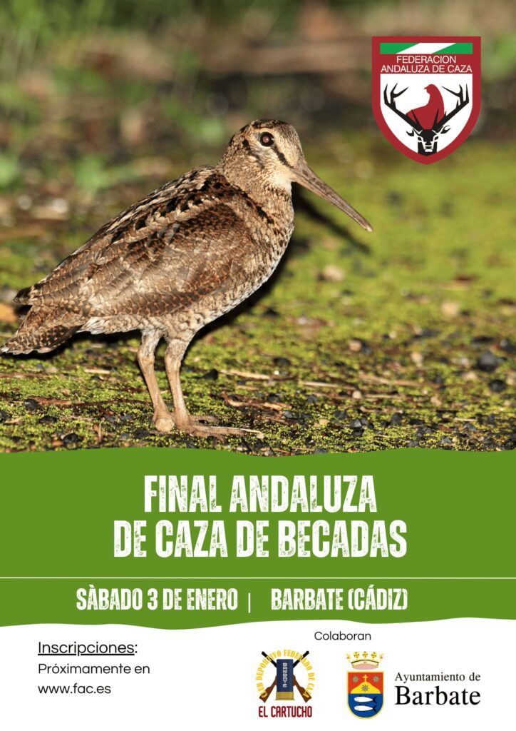 La Final Andaluza de Caza de Becadas volverá a celebrarse en Barbate (Cádiz) el 3 de enero