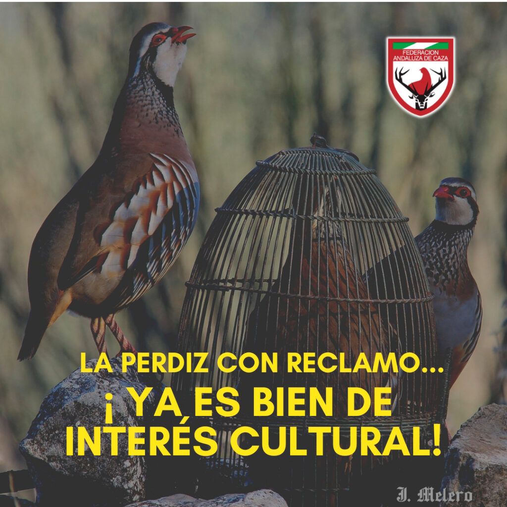 La caza andaluza vuelve a hacer historia: la Perdiz con Reclamo, declarada Bien de Interés Cultural