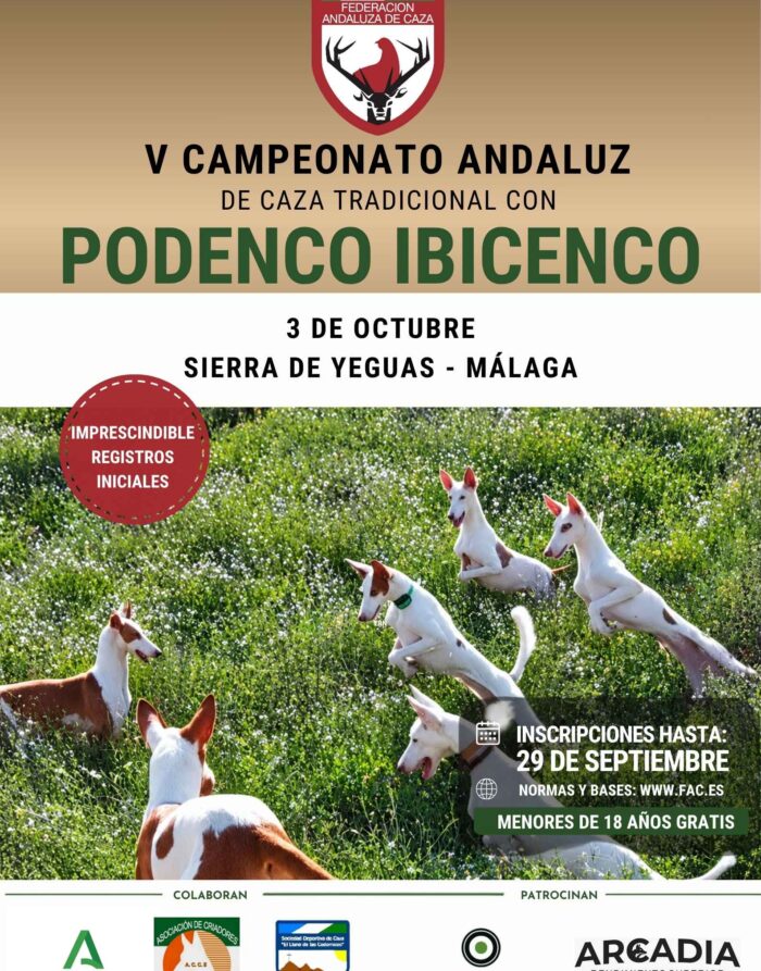 Campeonato Podenco Ibicenco (1)