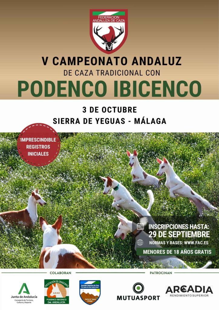 Abre la inscripción del V Campeonato Andaluz de Caza Tradicional con Podenco Ibicenco, que se celebra el 3 de octubre