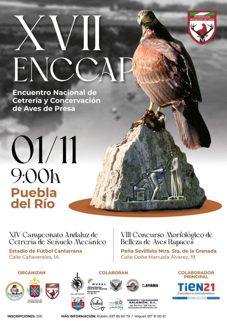 Inscripciones abiertas para el XIV Campeonato Andaluz de Cetrería de Señuelo Mecánico 2025