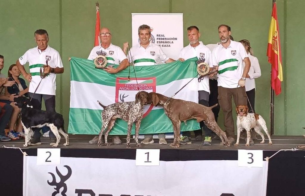 Andalucía regresa con gran éxito de la Final de España de Perros de Muestra 2025