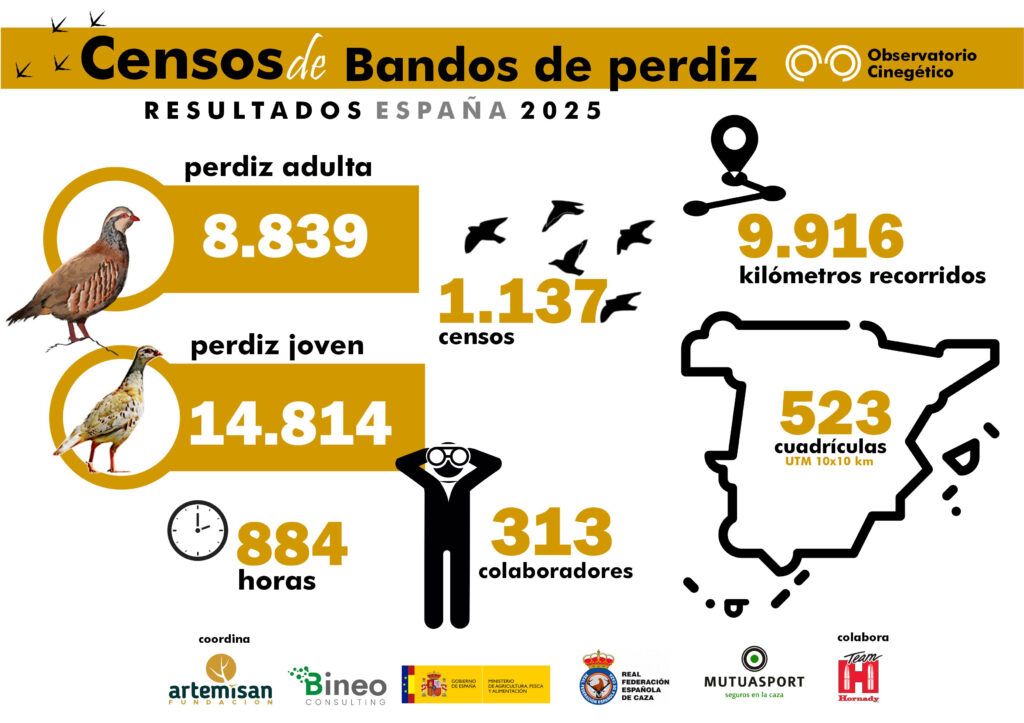 datos censos españa