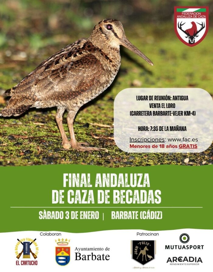 Final Andaluza Becadas 2026