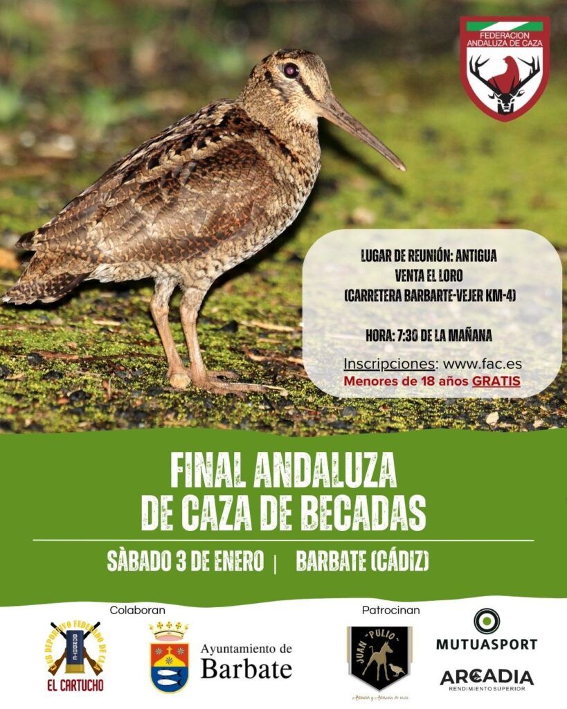 Barbate (Cádiz) acoge mañana la Final Andaluza de Caza de Becadas