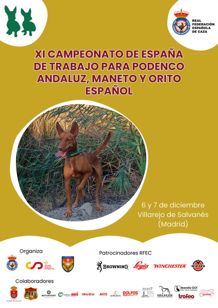 El equipo andaluz de Podenco Andaluz, Maneto y Orito luchará por revalidar los éxitos del año pasado en el Campeonato de España