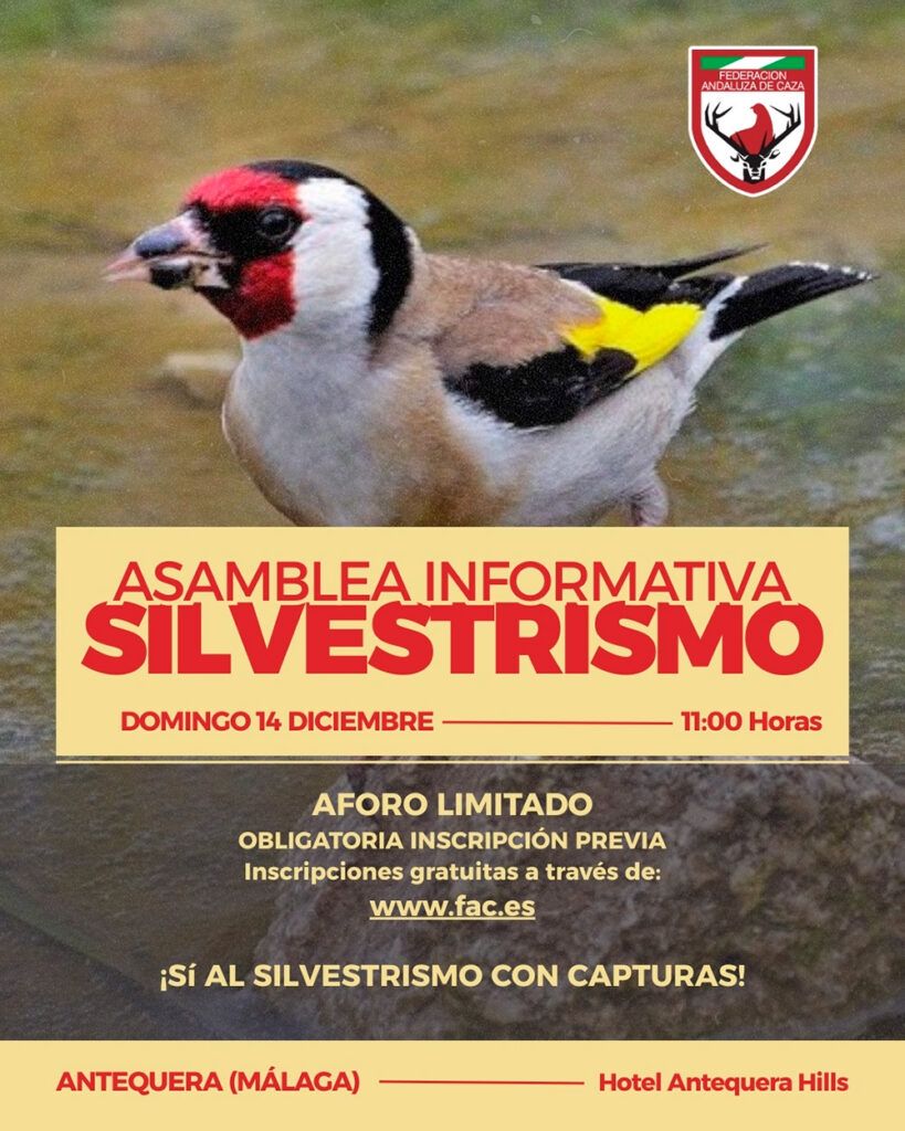 La FAC celebra una asamblea informativa sobre Silvestrismo este domingo