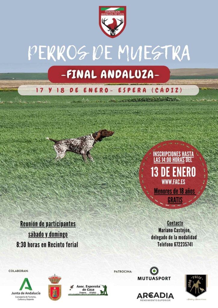 La Final Andaluza de Perros de Muestra 2026 abre inscripciones