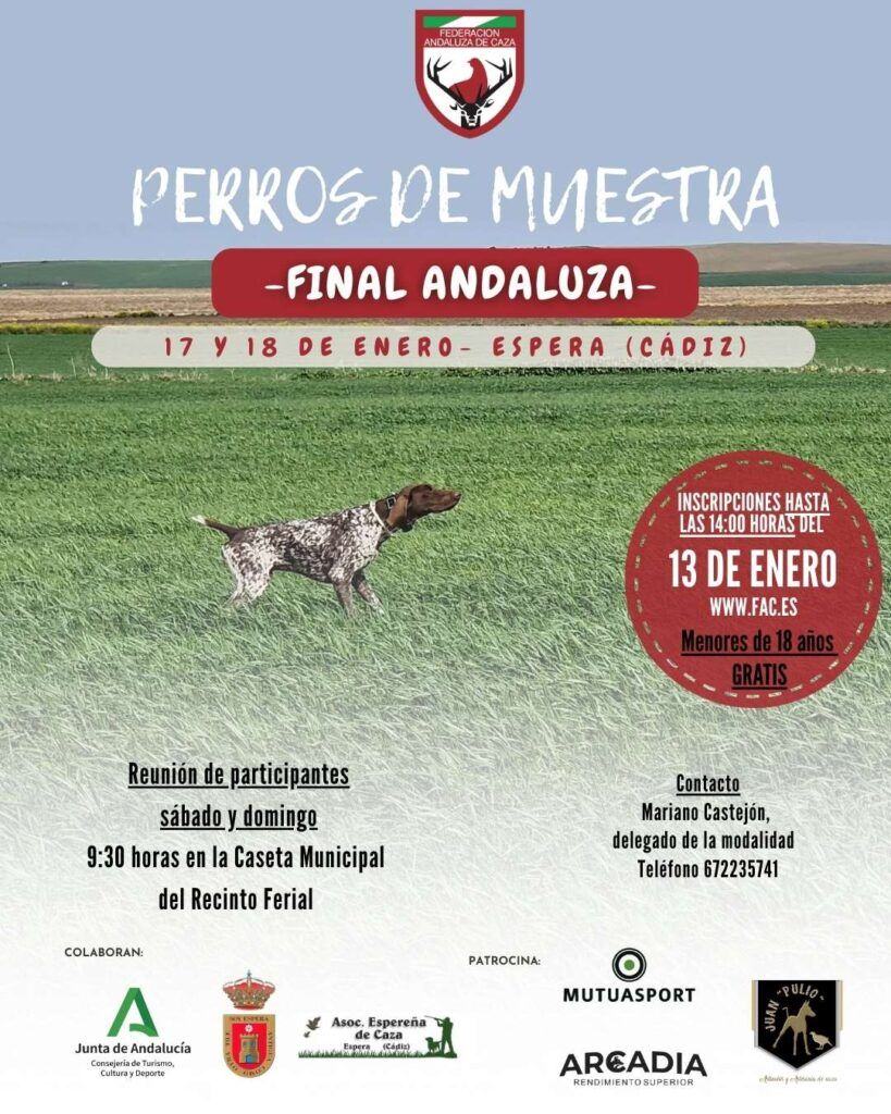 Los campeones de Perros de Muestra 2026 se deciden este fin de semana