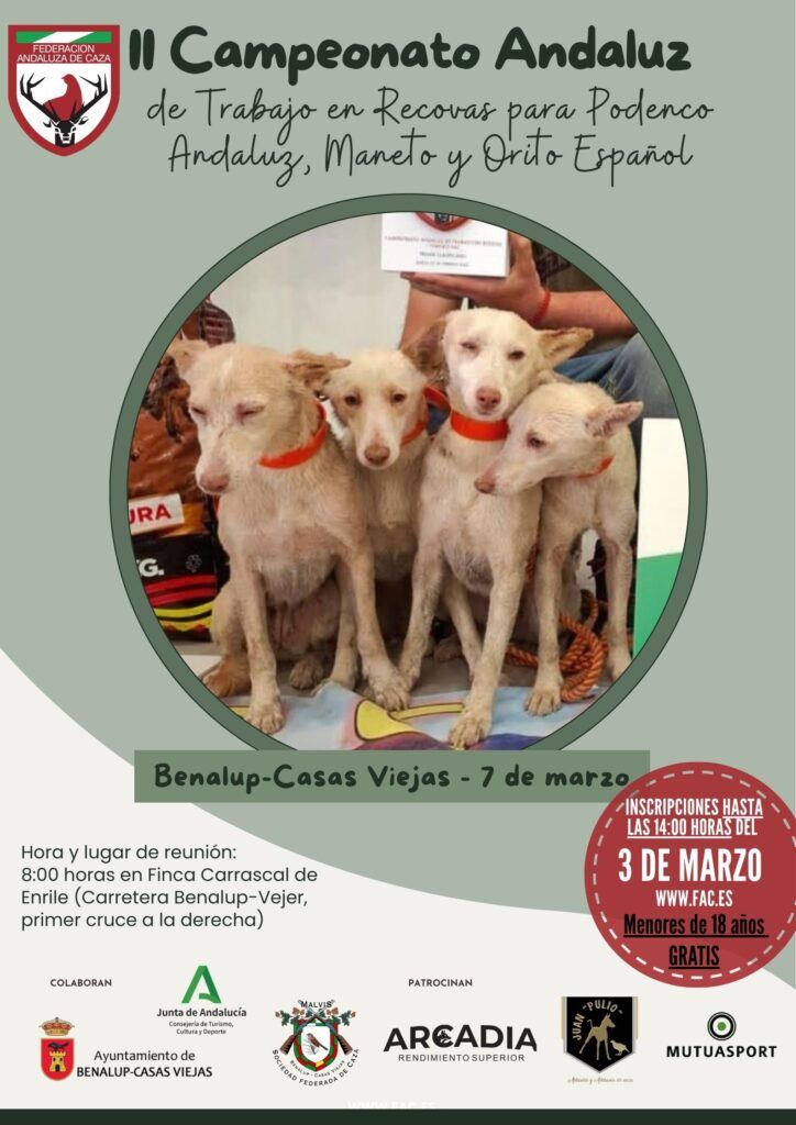 Benalup-Casas Viejas será este fin de semana la capital del podenco al acoger dos grandes pruebas oficiales de la FAC