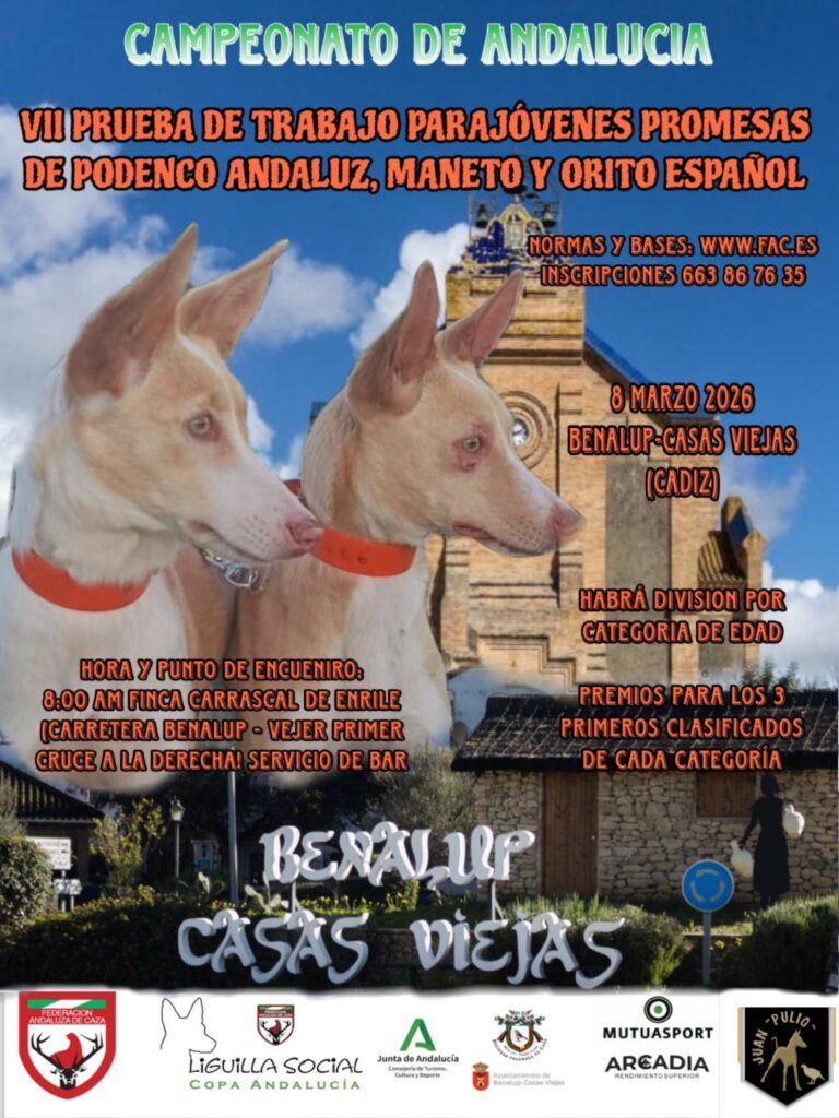 La VII Prueba de Trabajo para Jóvenes Promesas de Podenco Andaluz, Maneto y Orito Español será el 8 de marzo de 2026 en Benalup-Casas Viejas (Cádiz)