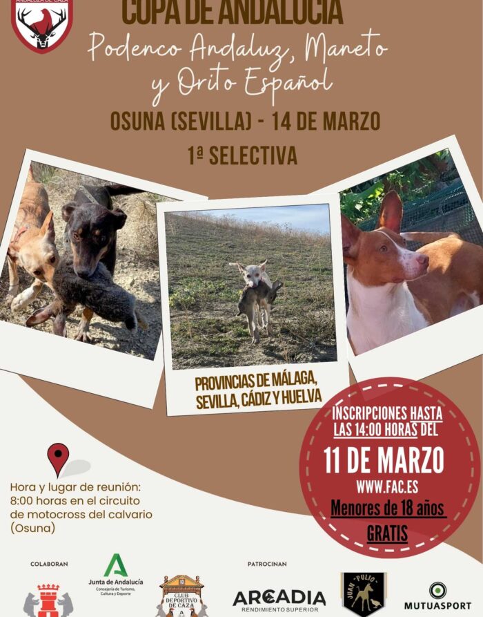 Selectiva podenco