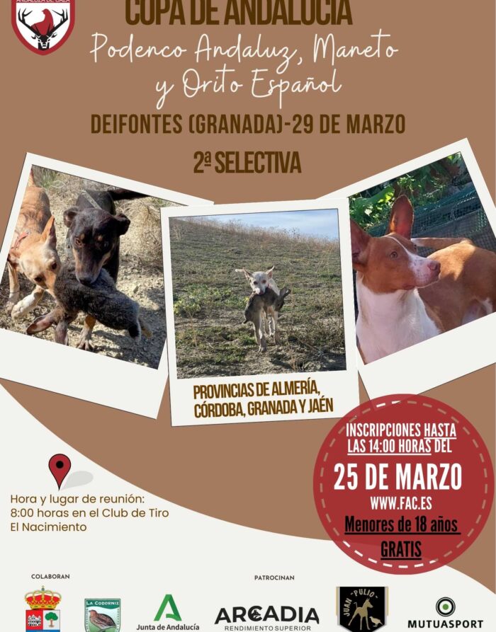 2ª Selectiva Podenco