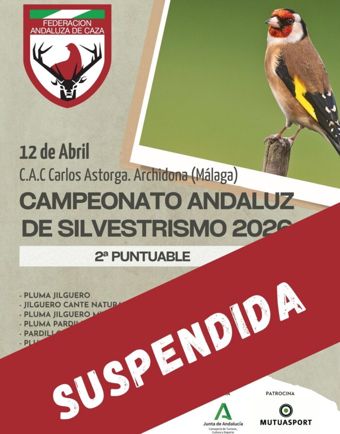1ª Puntuable Silvestrismo