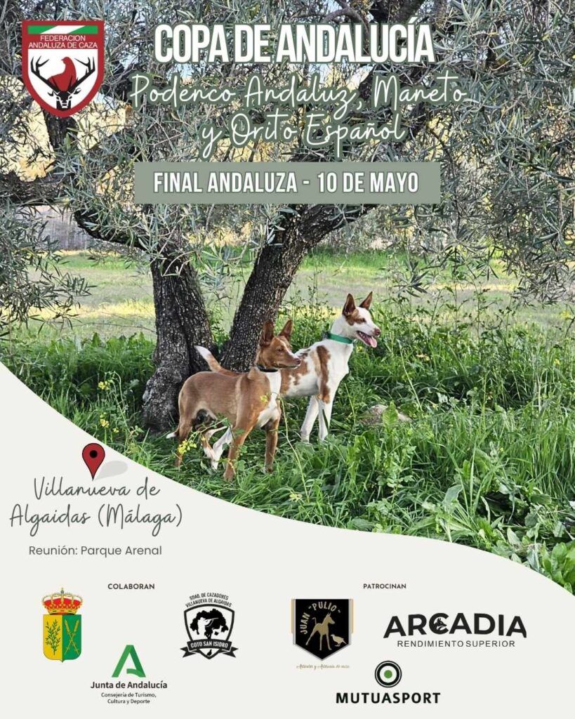 La Final de la Copa Andalucía de Podenco Andaluz, Maneto y Orito Español se celebrará el 10 de mayo en Villanueva de Algaidas