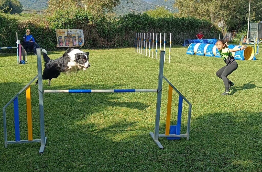 Más de un centenar de participantes se dan cita en la Copa de Andalucía de Agility 2026