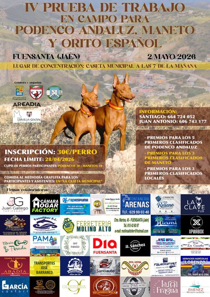 Fuensanta de Martos, centro neurálgico del podenco y el maneto con su IV Prueba de Trabajo en Campo