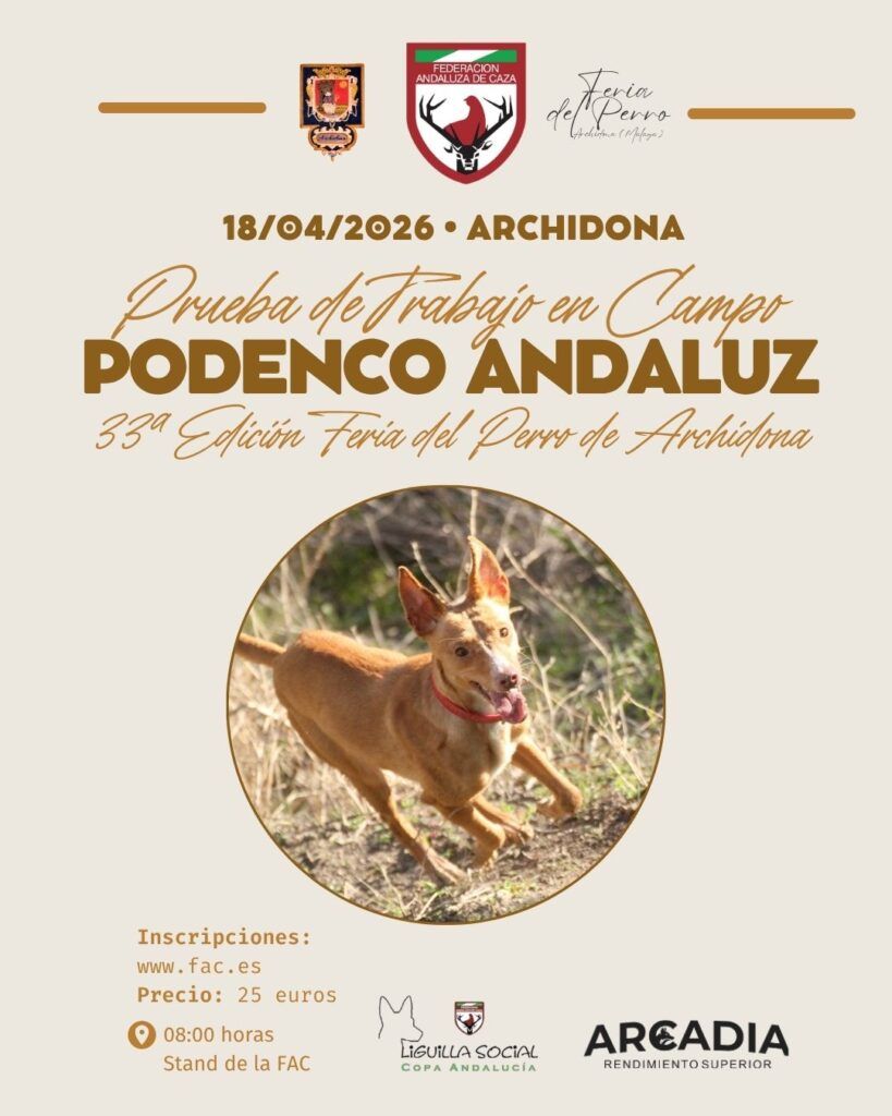 Los mejores podenqueros de Andalucía se darán cita este sábado en la Feria del Perro de Archidona