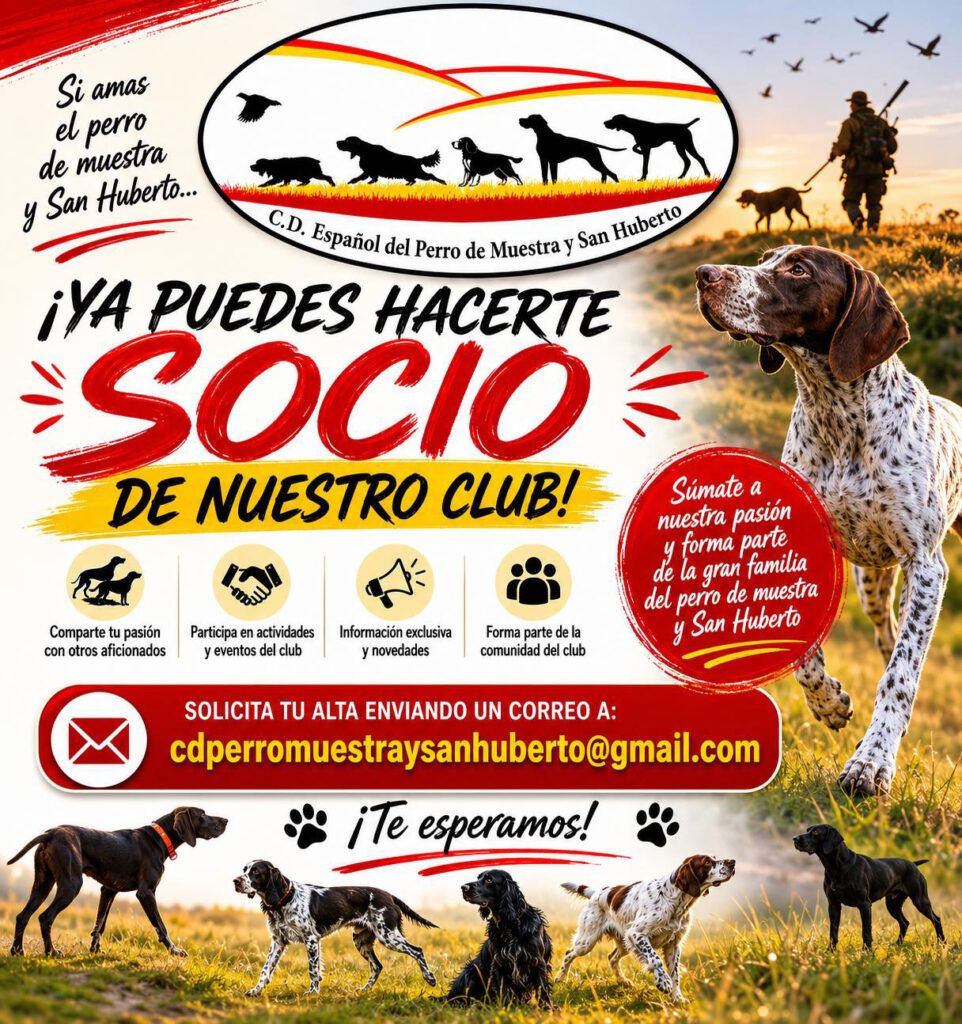 El Club Deportivo Español del Perro de Muestra y San Huberto abre la inscripción a nuevos socios