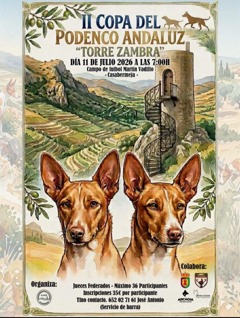 Esta noche se celebra el sorteo de la II Copa del Podenco Andaluz 