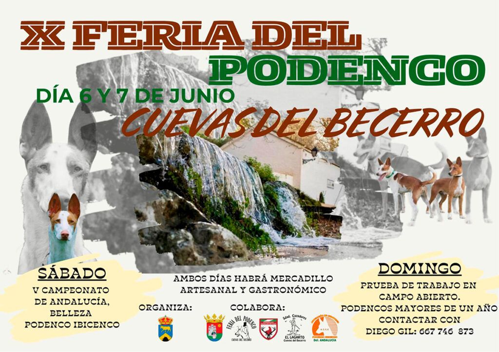 Cuevas del Becerro celebra este fin de semana su X Feria del Podenco con multitud de actividades para los aficionados