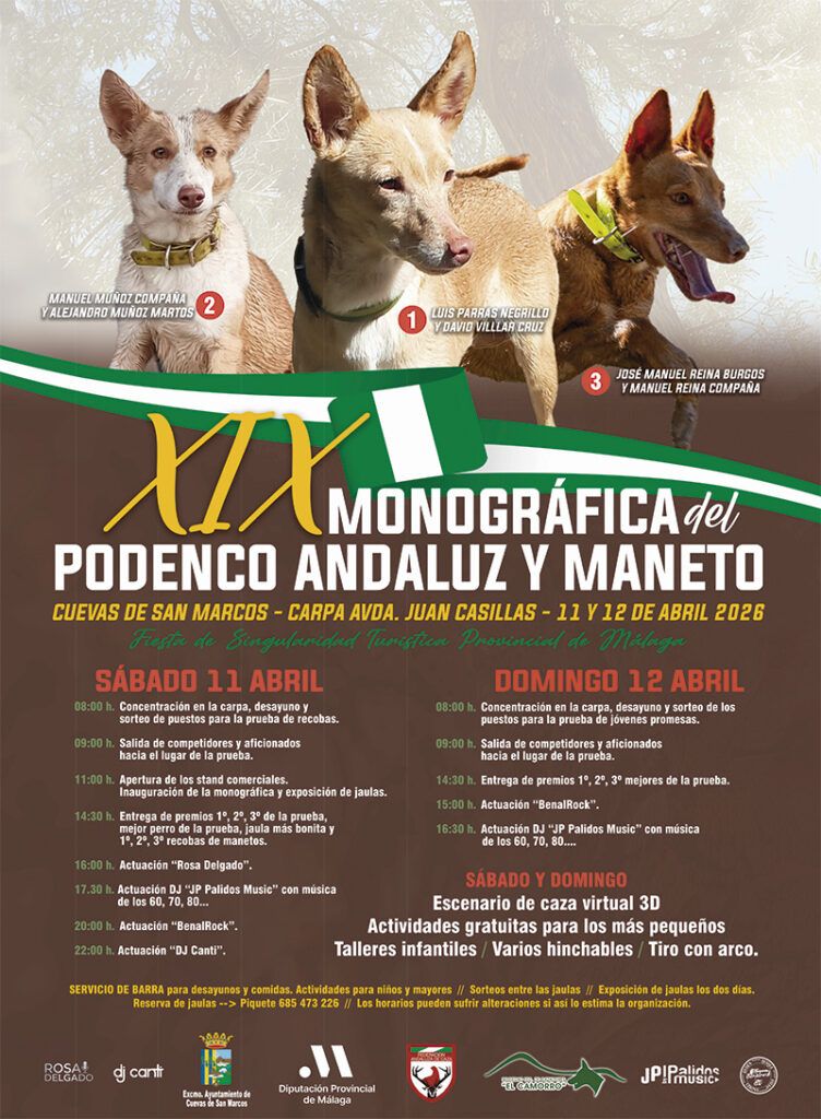 Cuevas de San Marcos celebra este fin de semana la XIX Monográfica del Podenco Andaluz y Maneto