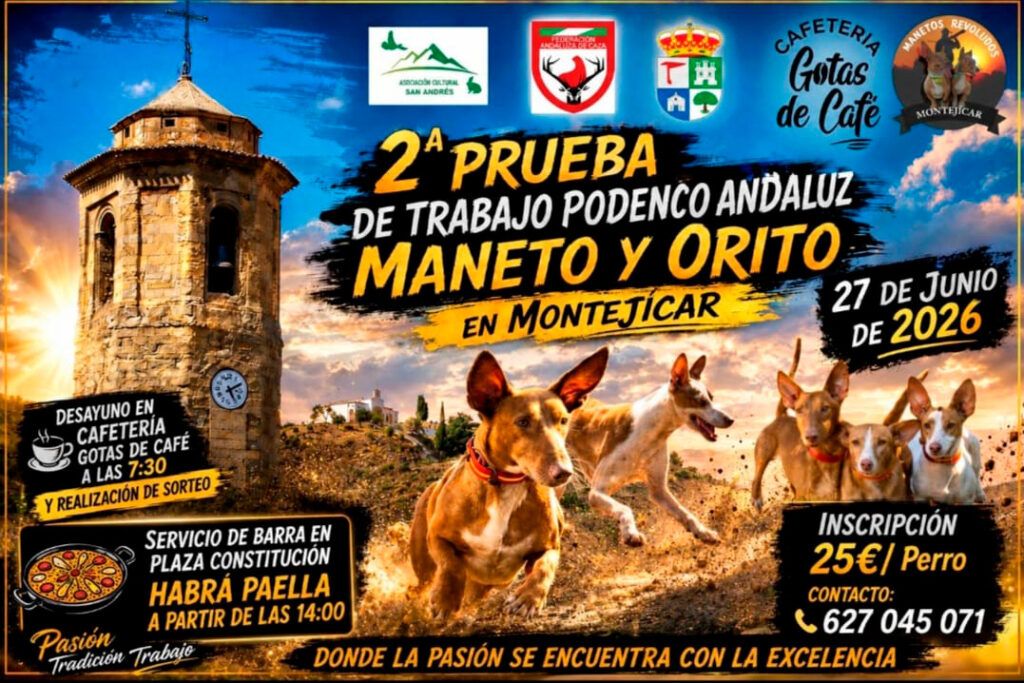 Montejícar se prepara para la segunda edición de su Prueba de Trabajo para Podenco Andaluz, Maneto y Orito Español