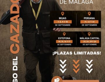 Design Option B