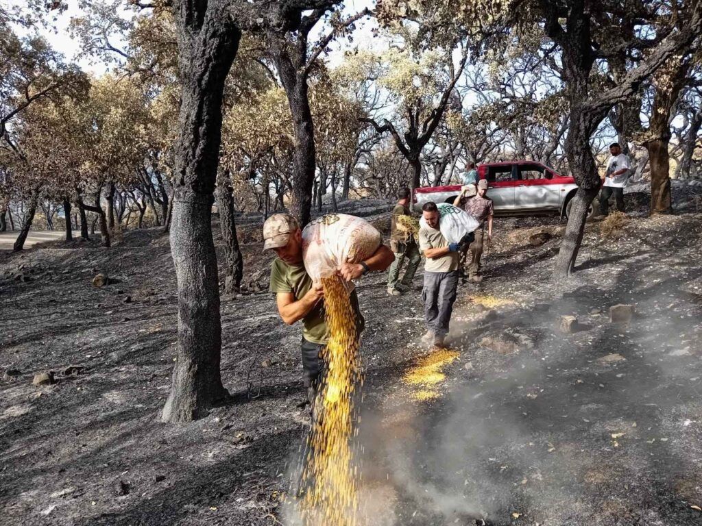 Sociedades de Caza de la Sierra de Cádiz donan más de 2.000 kilogramos de comida a la Sociedad de Caza 